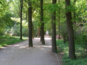 An avenue in the Berliner Tiergarten. Photo HvdE, May 2012.