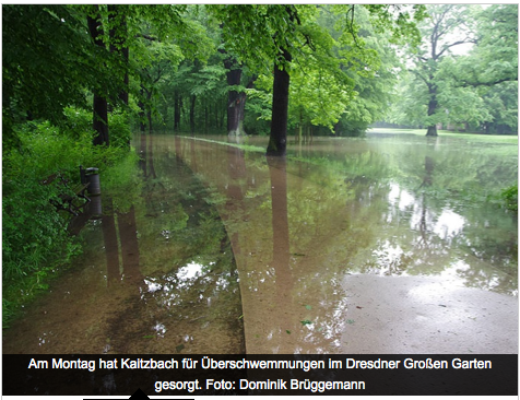 Flooded Grossen Garten in Dresden